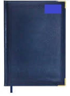 A5 Executive Diary Blue